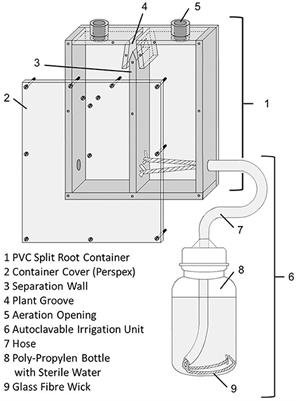 Interactions of Mycorrhiza and Protists in the Rhizosphere Systemically Alter Microbial Community Composition, Plant Shoot-to-Root Ratio and Within-Root System Nitrogen Allocation